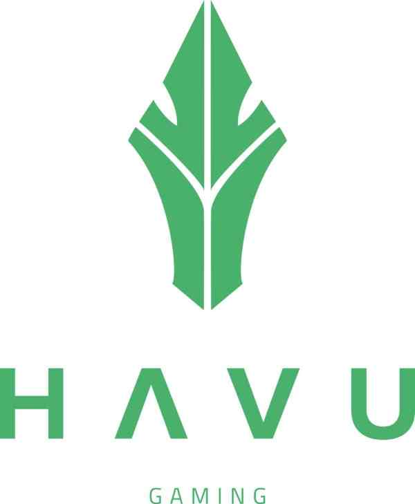 HAVU_Gaming